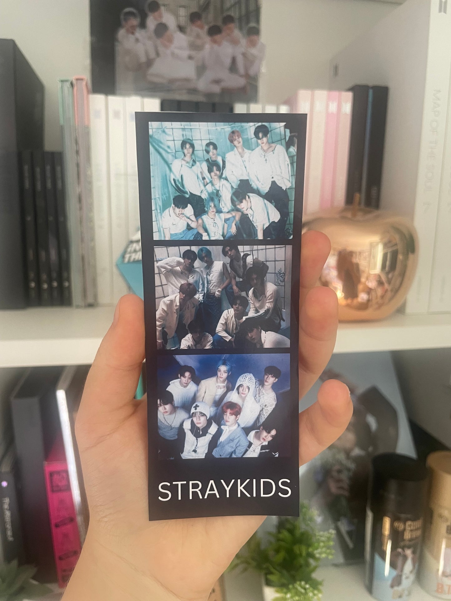 Polaroïd Straykids